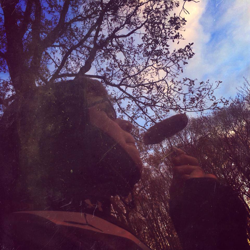 1476556_428687430594357_1044403790_n